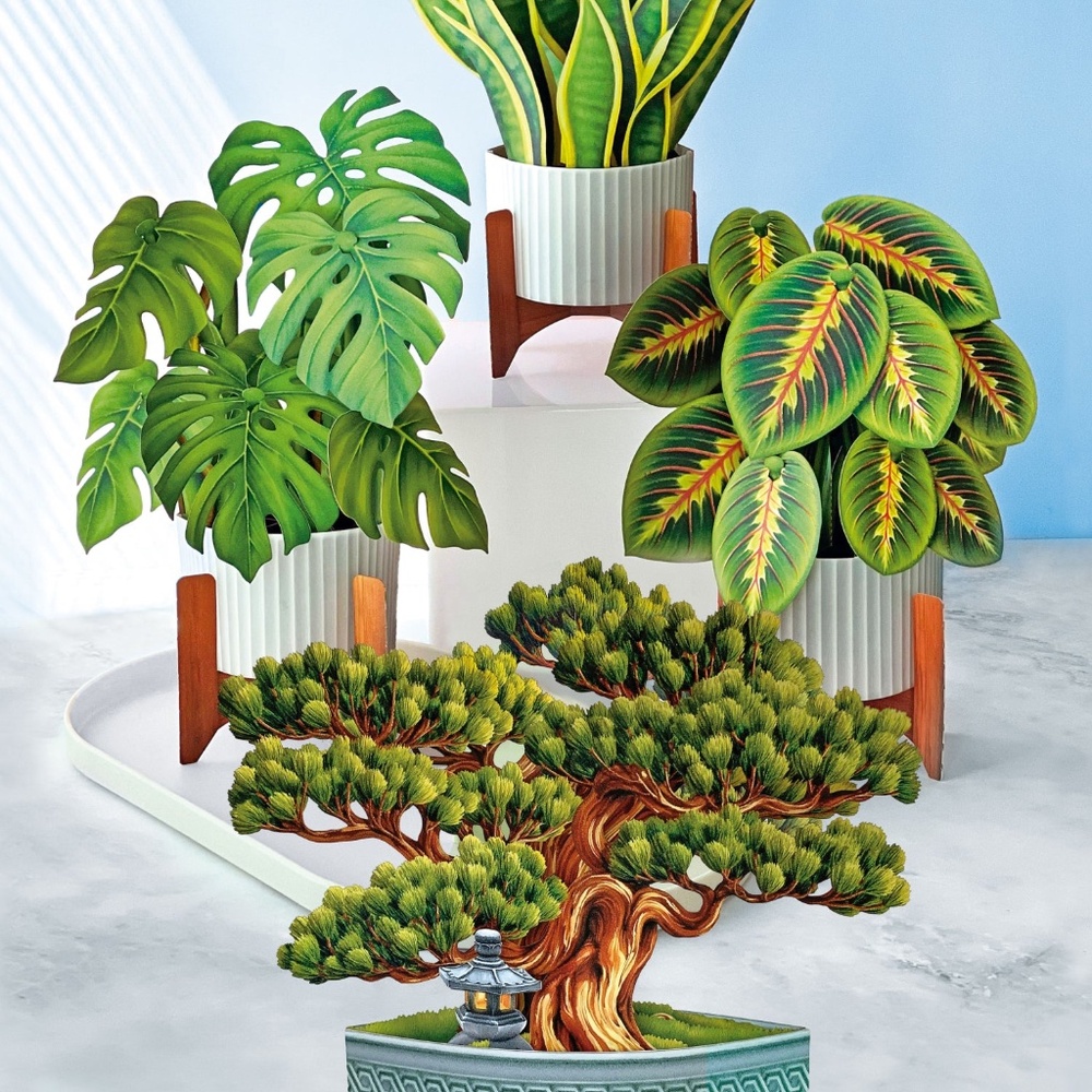 New 4 pc Life Sized‎ Paper House Plants 3D Cards